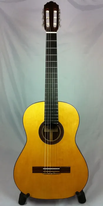 Rosewood classical guitar: front view